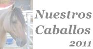 Nuestros Caballos 2011