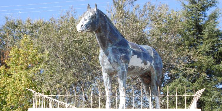 Monumento al Caballo Criollo