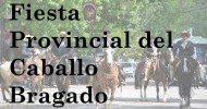 Fiesta Provincial del Caballo en Bragado
