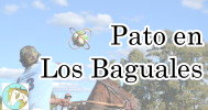 Pato en Los Baguales