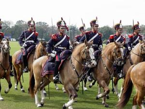 Regimiento de Granaderos a Caballo Gral. San Martín