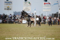 42 Fiesta del Caballo