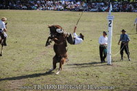 43 Fiesta del Caballo