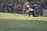 44 Fiesta del Caballo