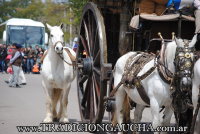 44 Fiesta del Caballo