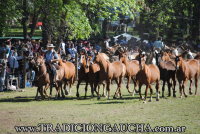 45 Fiesta del Caballo