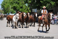 45 Fiesta del Caballo