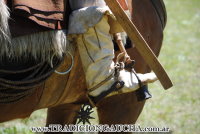 Fiesta Nacional del Caballo 2017