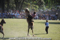 Fiesta Nacional del Caballo 2017