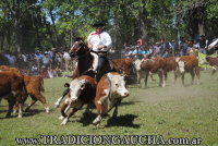 Fiesta Nacional del Caballo 2018