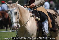 Fiesta Nacional del Caballo 2018