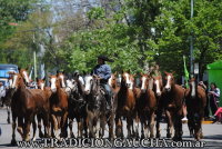 Fiesta Nacional del Caballo 2018