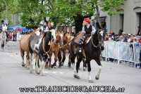 Fiesta Nacional del Caballo 2019