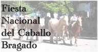 Fiesta Provincial del Caballo en Bragado