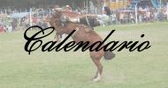 Calendario de Actividades