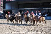 Final Caballos de Trabajo