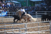 Final Nacional de Aparte Campero