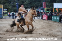 Concurso de Caballos de Trabajo