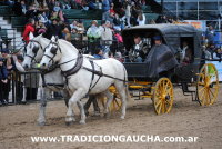 Exhibicion de Carruajes