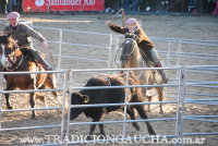 Final de Aparte Campero