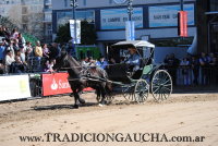 Carruajes - La Rural 2014