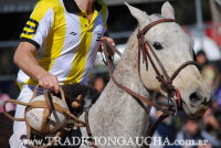 Torneo de Pato de Picadero