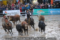 Final de Aparte Campero