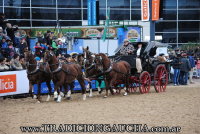 Exhibicion de Carruajes