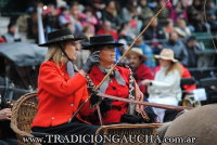 Exhibicin de Carruajes