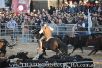 Final de Aparte Campero