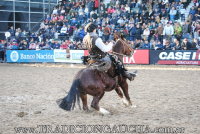 Final de Caballos de Trabajo