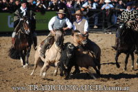 Copa Especial de Rodeo