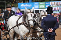 Exhibicin de Carruajes