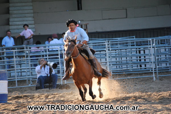 Nuestros Caballos 2013