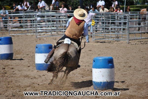 Nuestros Caballos 2013