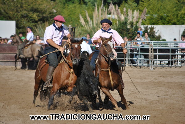 Nuestros Caballos 2013