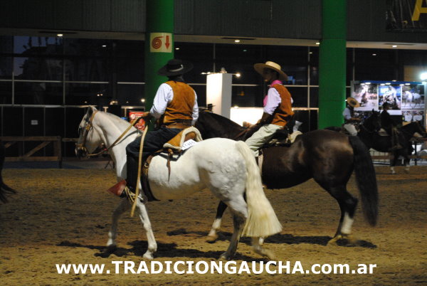 Nuestros Caballos 2014