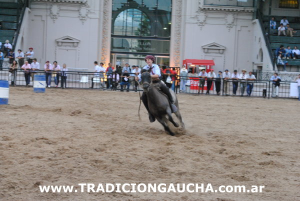 Nuestros Caballos 2014