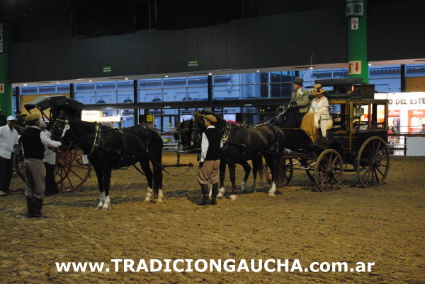 Nuestros Caballos 2014