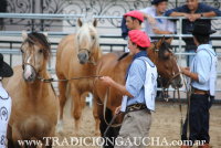 Nuestros Caballos 2015