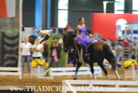 Nuestros Caballos 2016