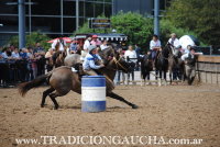 Nuestros Caballos 2016