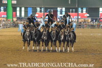 Nuestros Caballos 2016