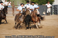 Nuestros Caballos 2019