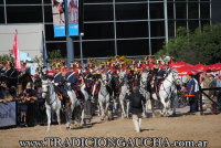 Nuestros Caballos 2019