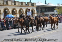 Peregrinacion a Caballo