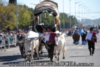 Peregrinacion a Caballo