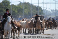 Peregrinacion a Caballo