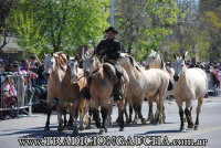 72 Peregrinacion Gaucha