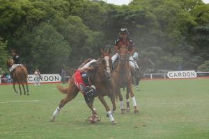 Pato - Deporte Nacional